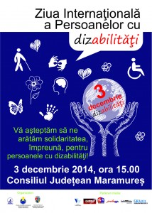afis 3 decembrie Ziua Internationala a Persoanelor cu Dizabilitati